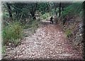2015_08150006.JPG