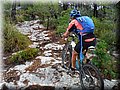2015_08150013.JPG