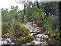 2015_08150016.JPG