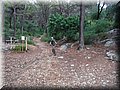 2015_08150029.JPG