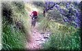 2015_08150055.JPG