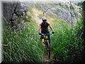 2015_08150059.JPG