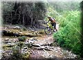 2015_08150060.JPG