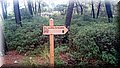 DSC_0096.JPG