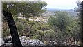 DSC_0098.JPG