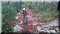 DSC_0111.JPG