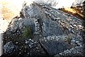 P8202230.JPG