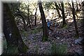 P8202233.JPG