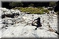 P8202278.JPG