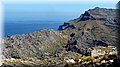 P8202305.JPG