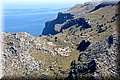 P8202306.JPG