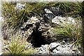 P8202317.JPG