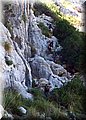 P8242390.JPG