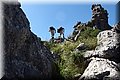 P8242391.JPG