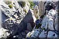 P8270028.JPG