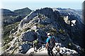 P8270052.JPG