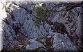 P8270063.JPG