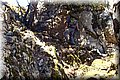 P8270071.JPG