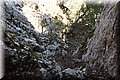 P8270091.JPG