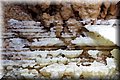 P8310201.JPG