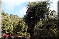 P9030233.JPG