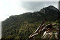 P9030239.JPG
