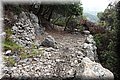 P9030274.JPG