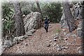 P9030276.JPG
