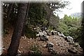 P9030277.JPG