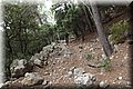 P9030278.JPG