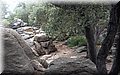 20150907_10.jpg