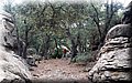20150907_42.jpg