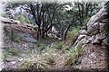P9070292.JPG