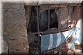 P9070330.JPG