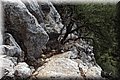 P9070339.JPG