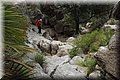 P9070376.JPG