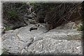 P9070382.JPG