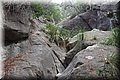 P9070383.JPG