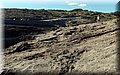 P9210671.JPG