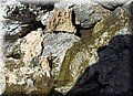 P9210678.JPG