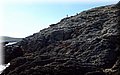 P9210685.JPG