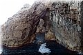 P9210732.JPG