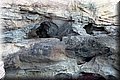P9210737.JPG