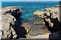 P9210745.JPG