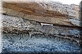 P9210746.JPG