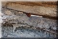 P9210748.JPG