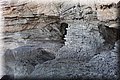 P9210751.JPG