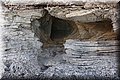 P9210753.JPG