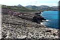 P9210767.JPG