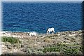 P9210773.JPG